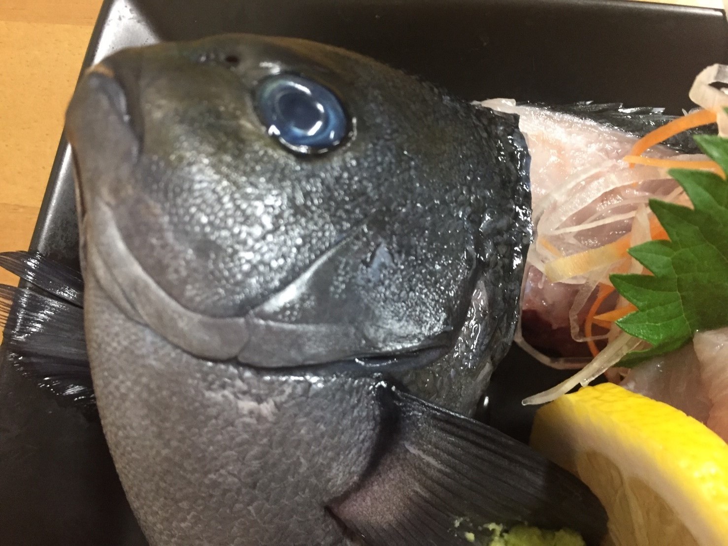 おはよう堂記録 驚愕の魚達 裏luz おはよう堂記録 驚愕の魚達 裏luz