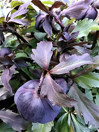 f0354923_23353187.jpg