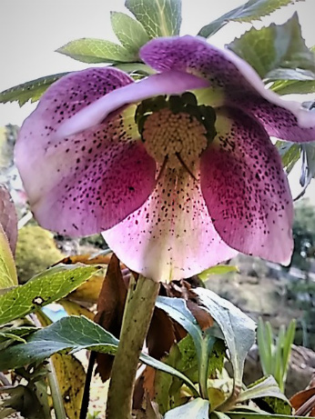 f0354923_23392018.jpg