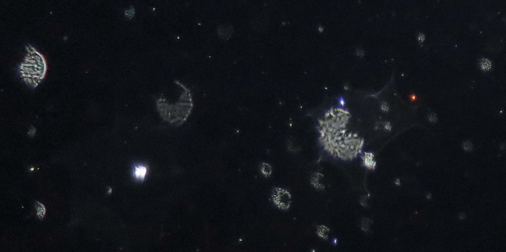 c0331825_15380879.jpg