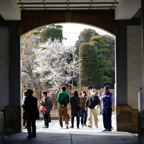 「世界遺産　富岡製糸場 近代絹産業を支えた日本初の工場跡地」_a0000029_13075708.jpg