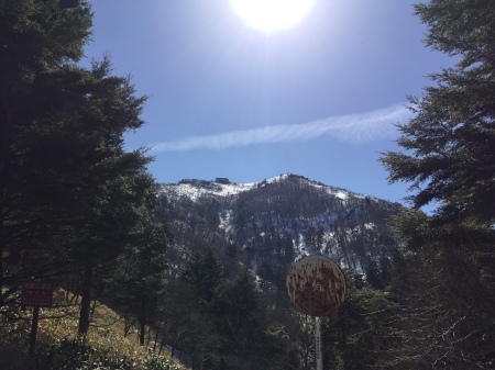 c0089831_05404439.jpeg