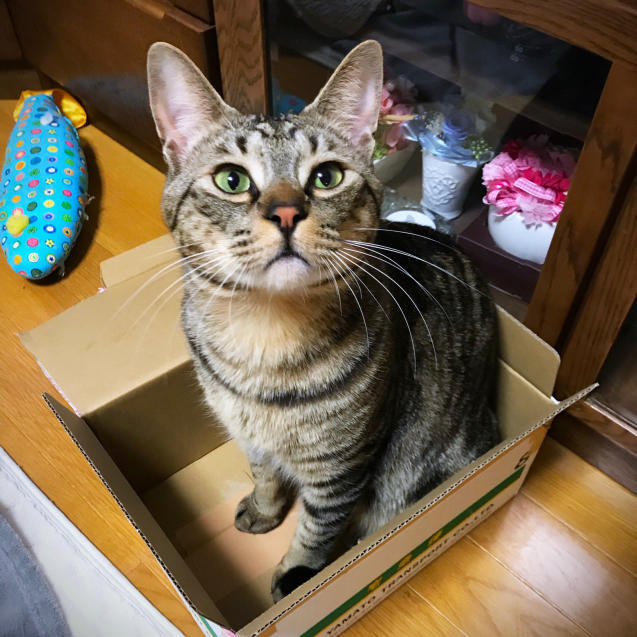 いっぱいお取り寄せしたけど_d0355333_21493480.jpg