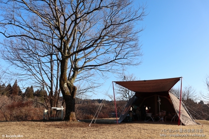 d0140234_20115157.jpg