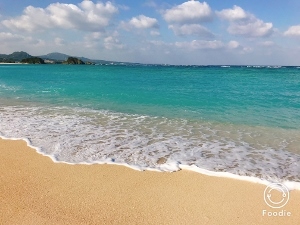 沖縄4　名護湾の海は素晴らしく綺麗でした。_a0059035_13102730.jpg