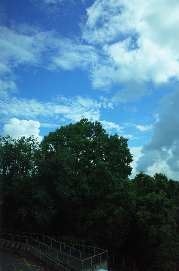 a0287336_18175060.jpg