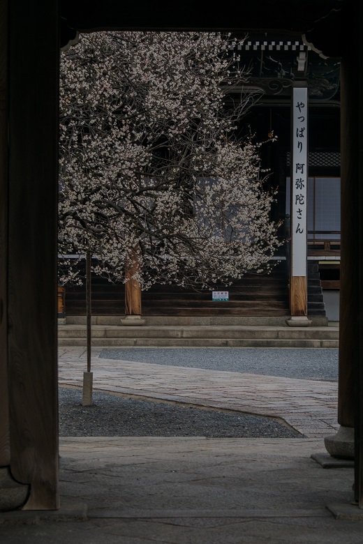 e0363038_23481690.jpg