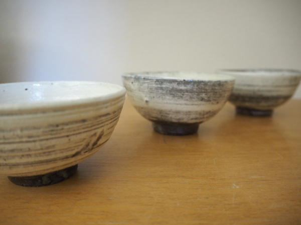 坪井俊憲展 明日からです(3/7~13)_b0132442_18162239.jpg