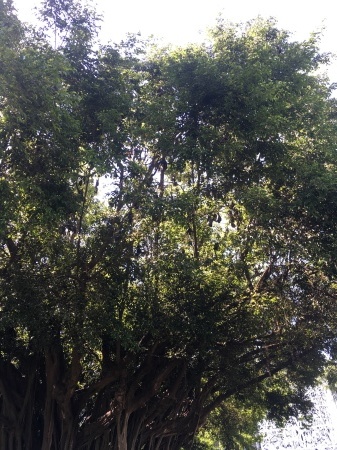 a0236744_21494795.jpeg