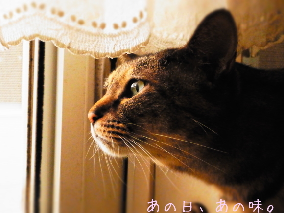 a0305046_08250573.jpg