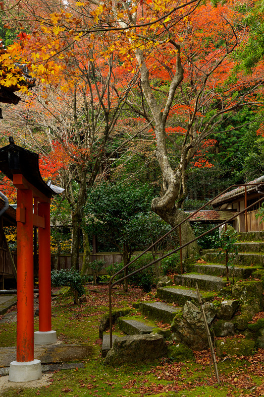 京都の紅葉2017 柳谷観音の秋錦（前編）_f0155048_2229591.jpg