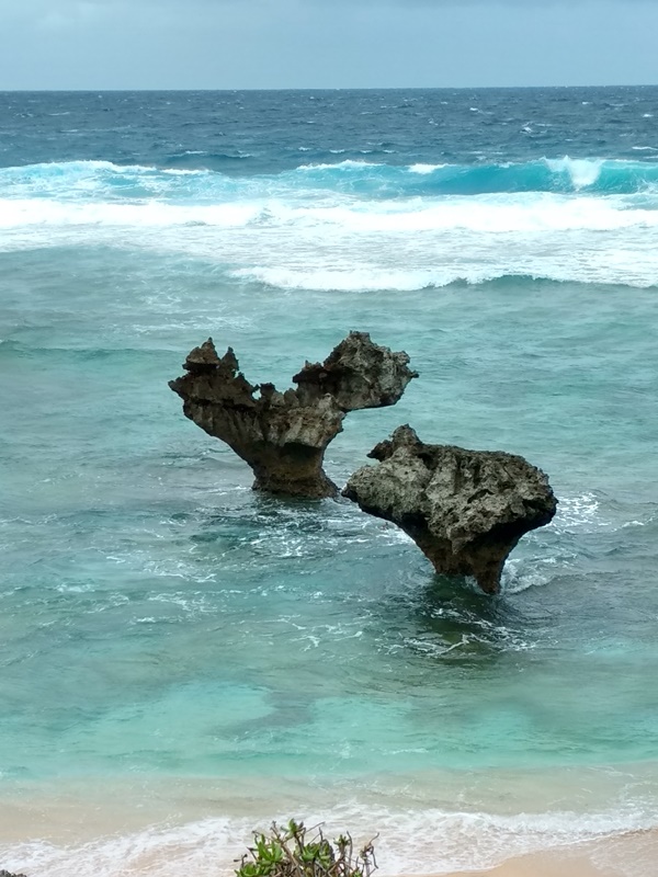 f0091250_20224648.jpg