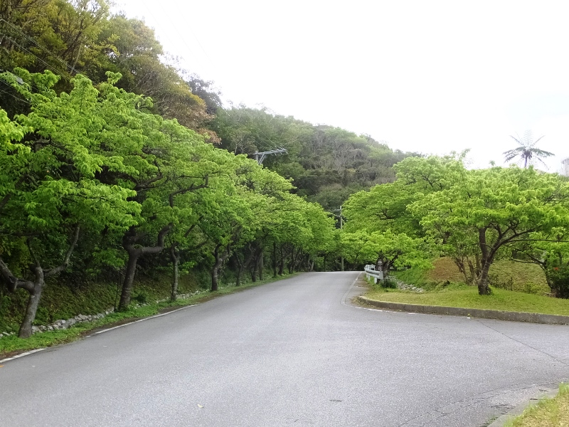 f0091250_2031848.jpg