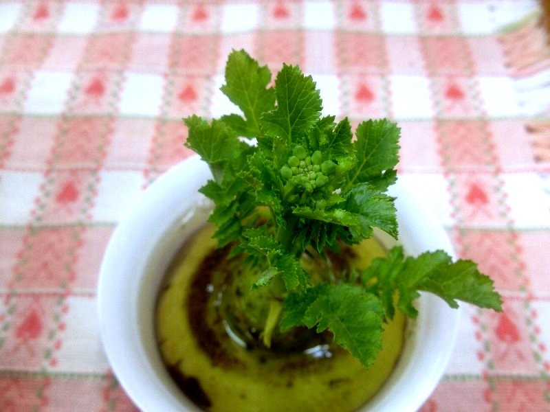 c0092953_6221077.jpg