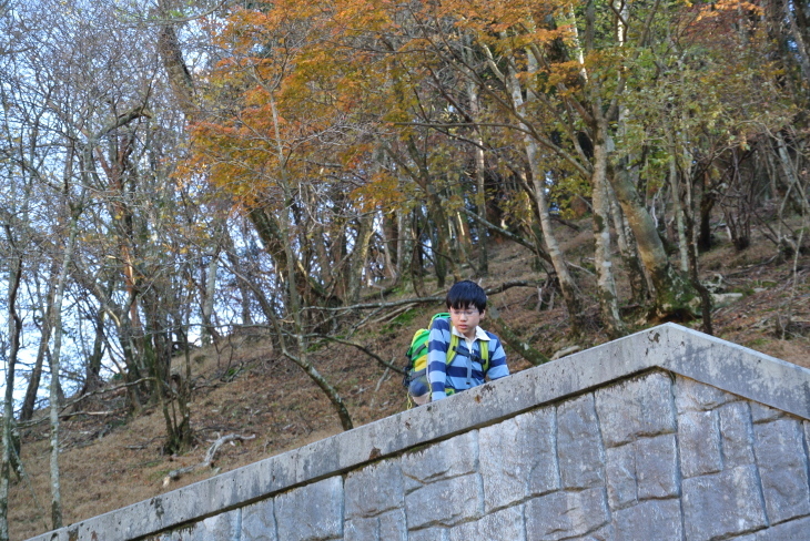 d0345153_21000378.jpg