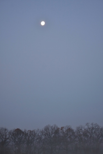 b0248954_07374535.jpg