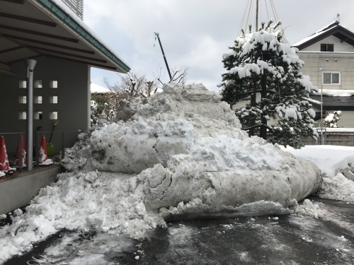 積もりました☃_d0138554_15482579.jpeg