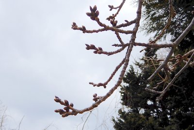 e0364056_10241485.jpg