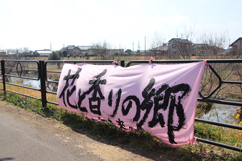 a0167759_23452879.jpg