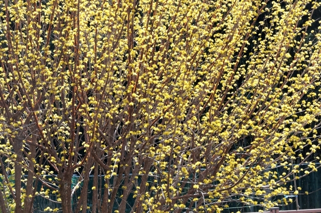a0016161_21083176.jpg