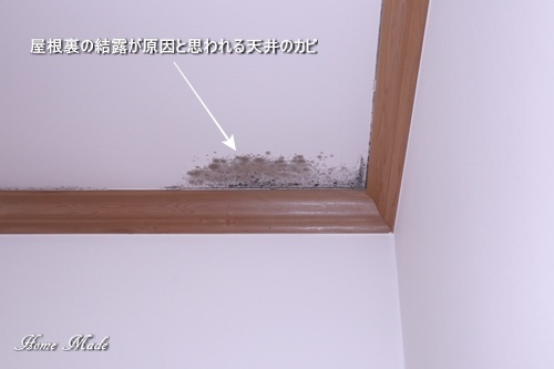天井のカビとドア枠からの水漏れ_c0108065_09370854.jpg