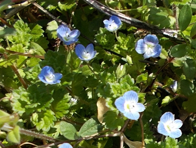 c0219866_18252325.jpg