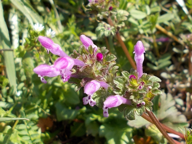 c0219866_18255557.jpg