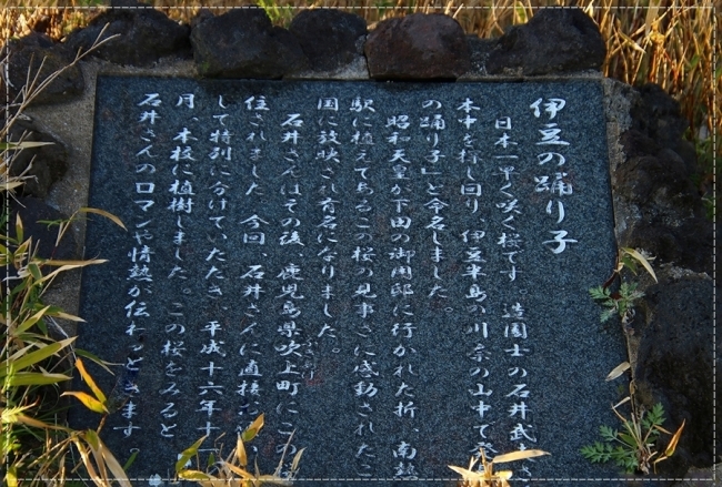 d0102968_06594635.jpg