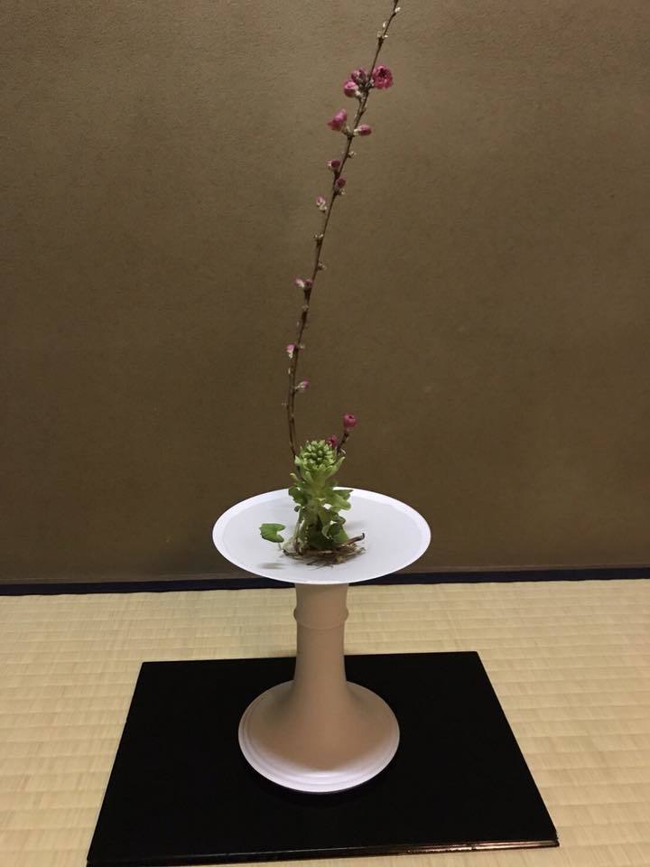 赤坂・辻留さんで席主デビュー❣️_a0138976_11185757.jpg