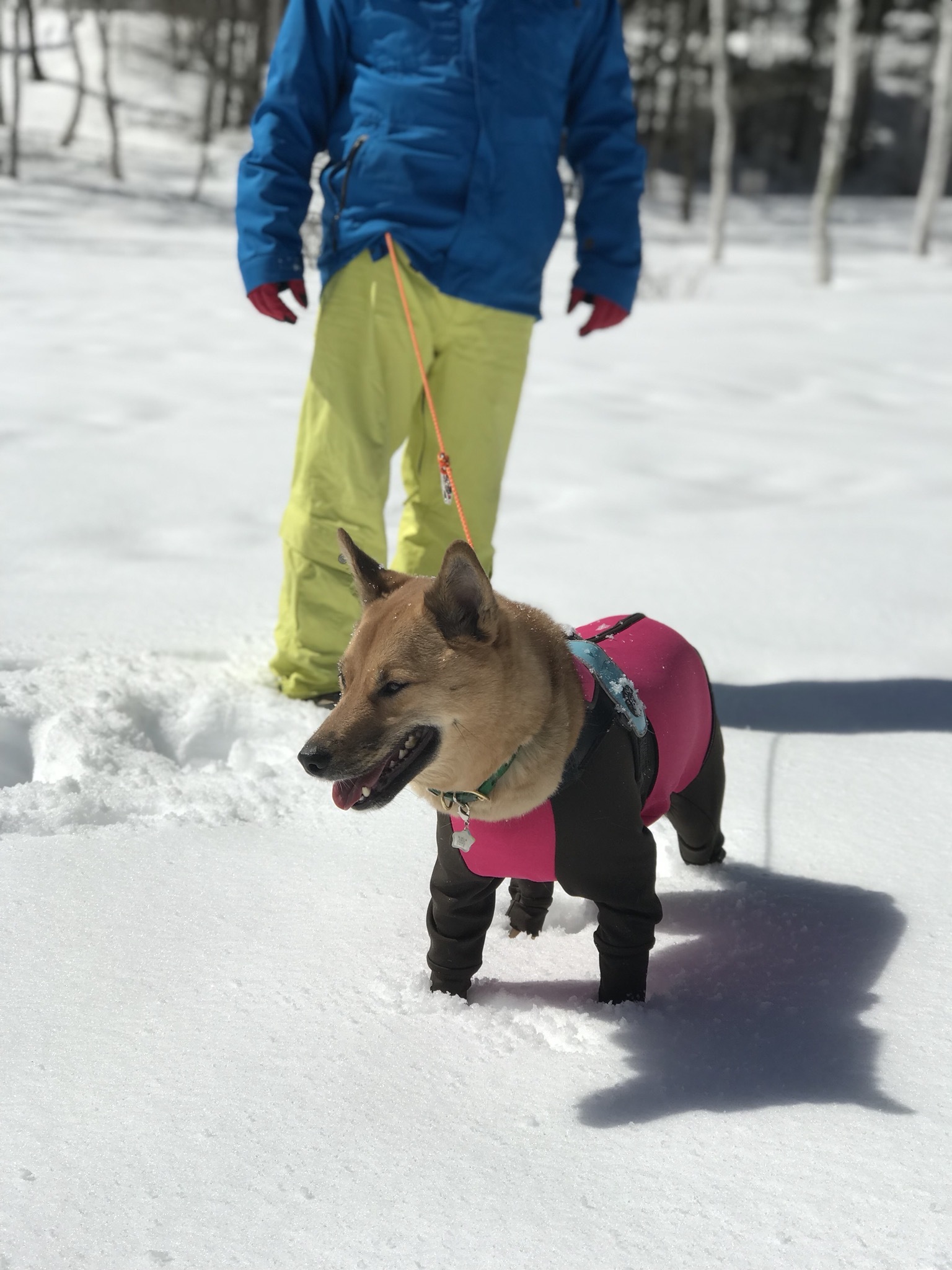 c0364176_12251590.jpeg