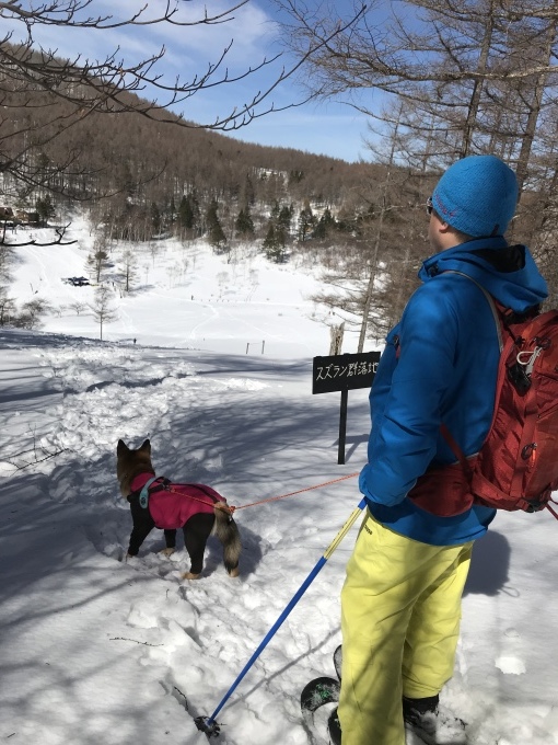 c0364176_12270713.jpeg