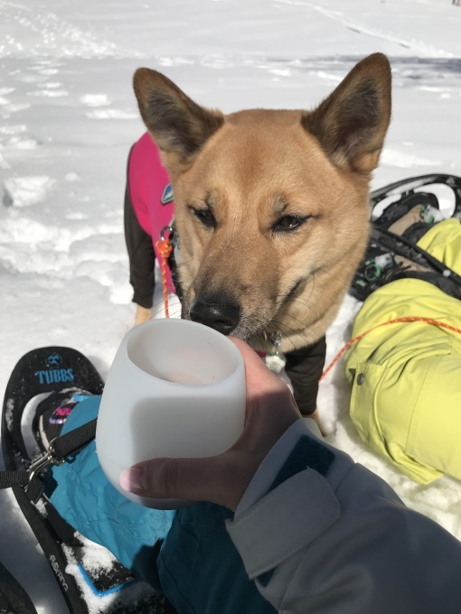 c0364176_12273939.jpeg
