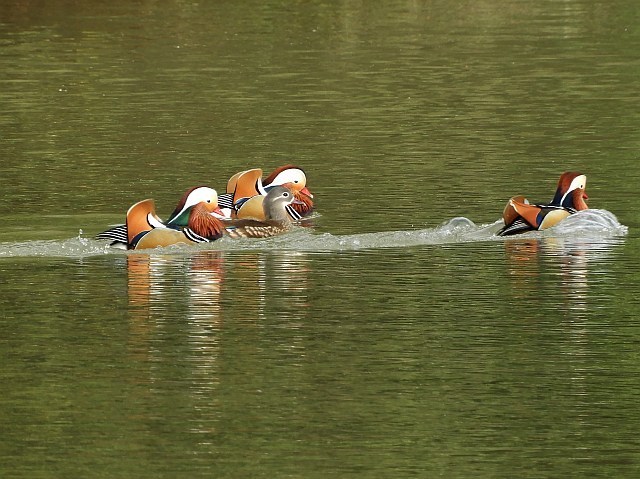 f0378979_15350411.jpg