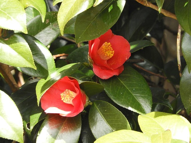 f0378979_15383386.jpg