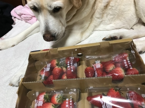 f0315081_20013786.jpeg