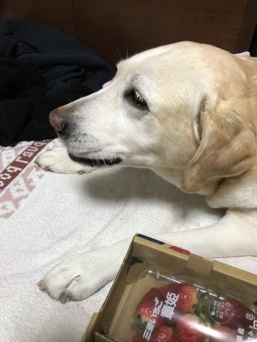 f0315081_20040409.jpeg