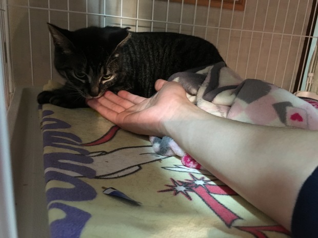 b0377882_22402283.jpeg