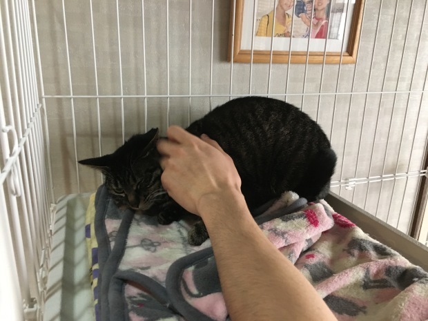 b0377882_22453745.jpeg