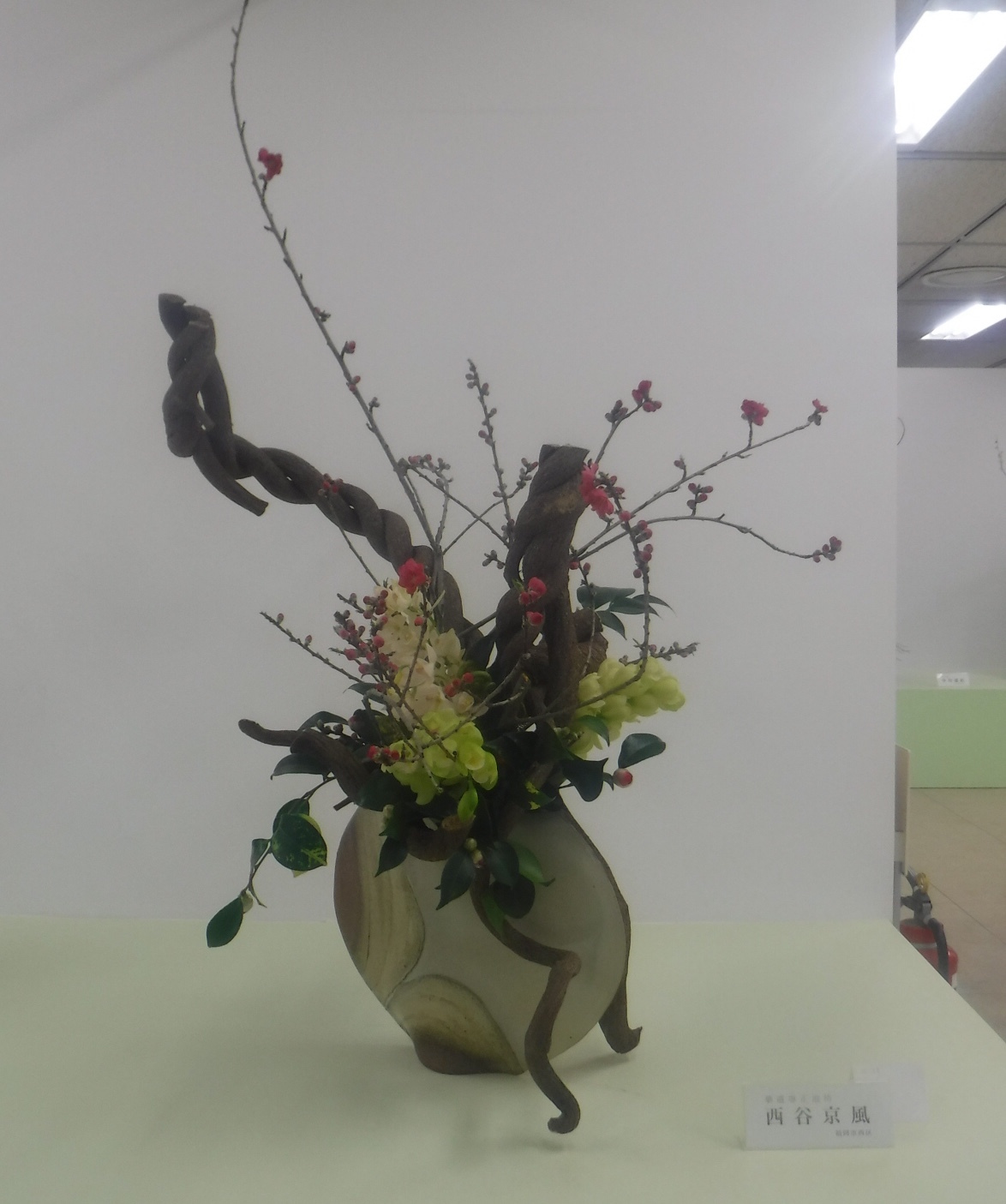 d0195183_00061663.jpeg