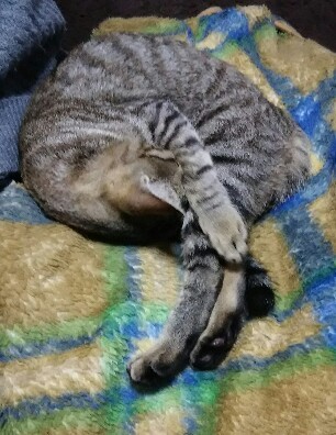 c0340284_22463463.jpg