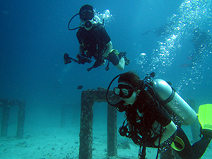 f0144385_20120750.jpg