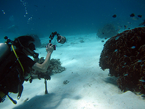 f0144385_20120770.jpg