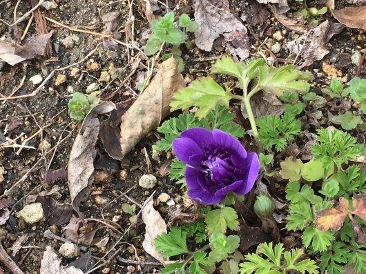 b0336787_16093275.jpeg