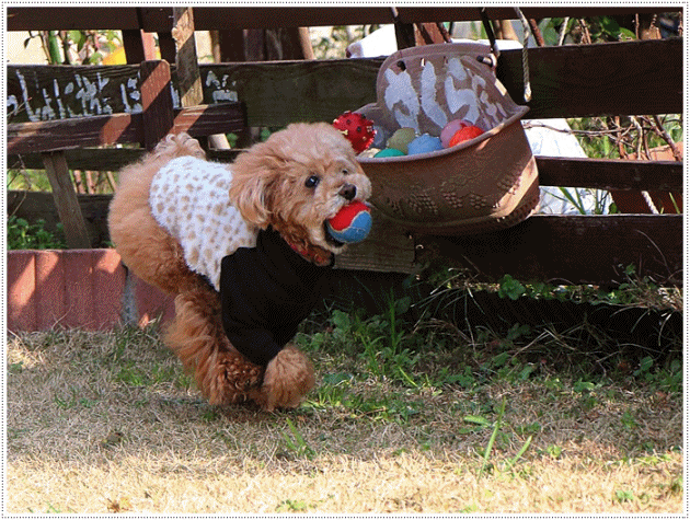 b0175688_00201093.gif