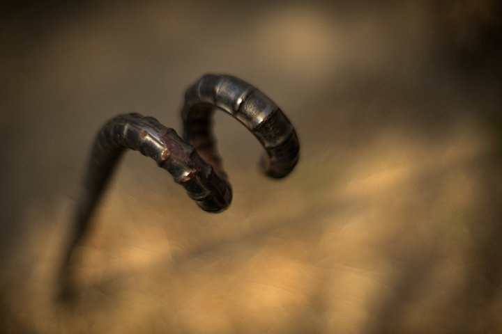 d0353489_2183483.jpg