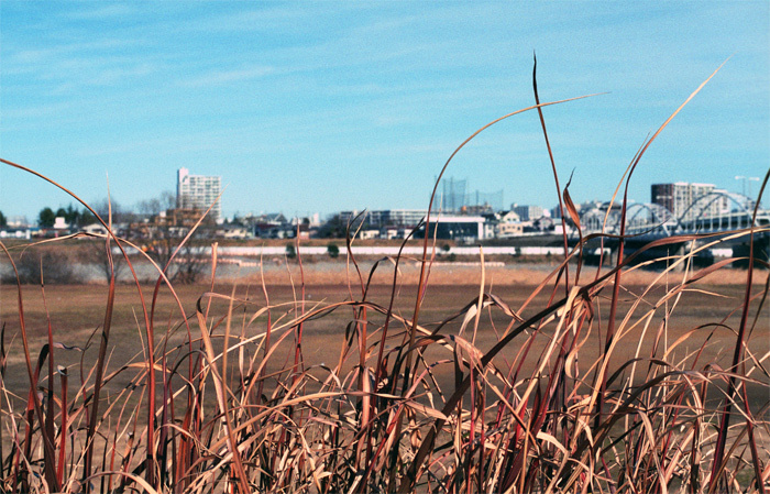 c0386291_12543163.jpg