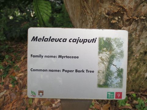 c0212604_7144983.jpg