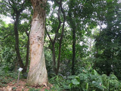 c0212604_7151068.jpg
