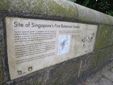 c0212604_7172749.jpg
