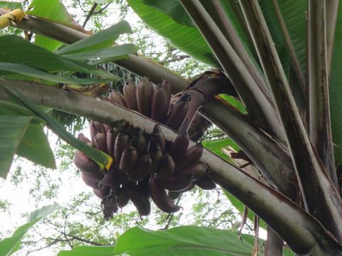 c0212604_719088.jpg